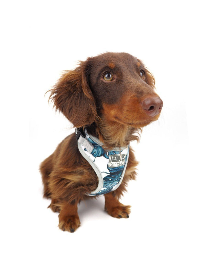 Palm Vibes Harness