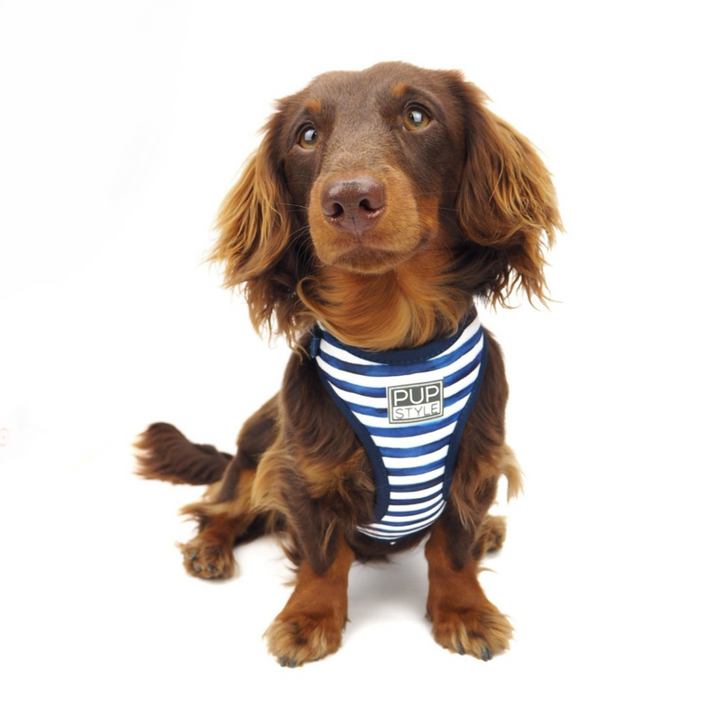 Stripe Squad Harness