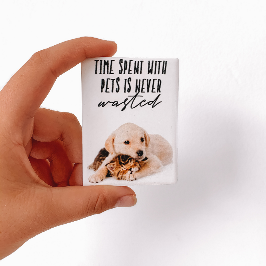 Time spent with pets is never wasted Magnet
