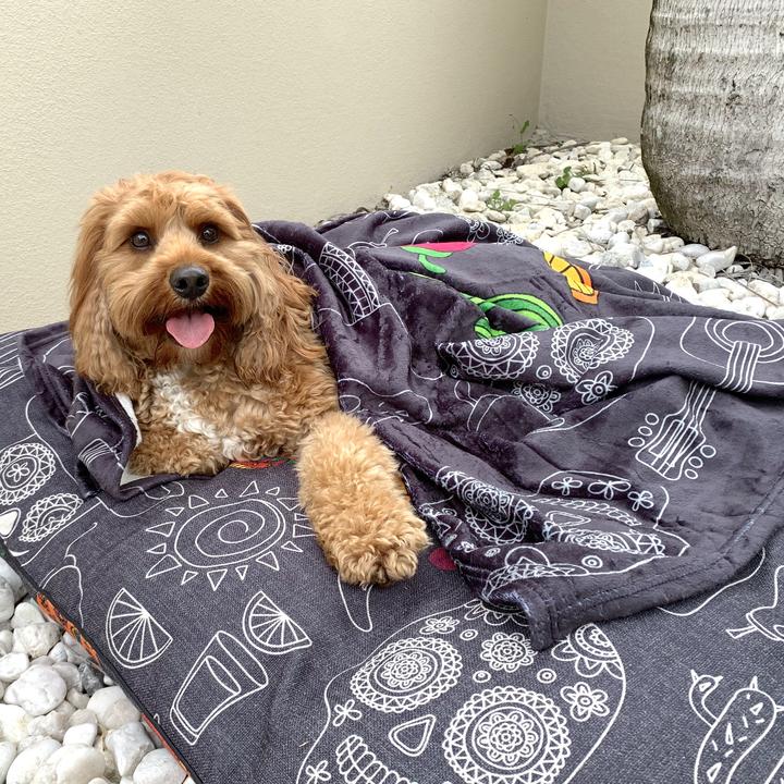 Mexican Skulls Ultra Soft Pet Blanket