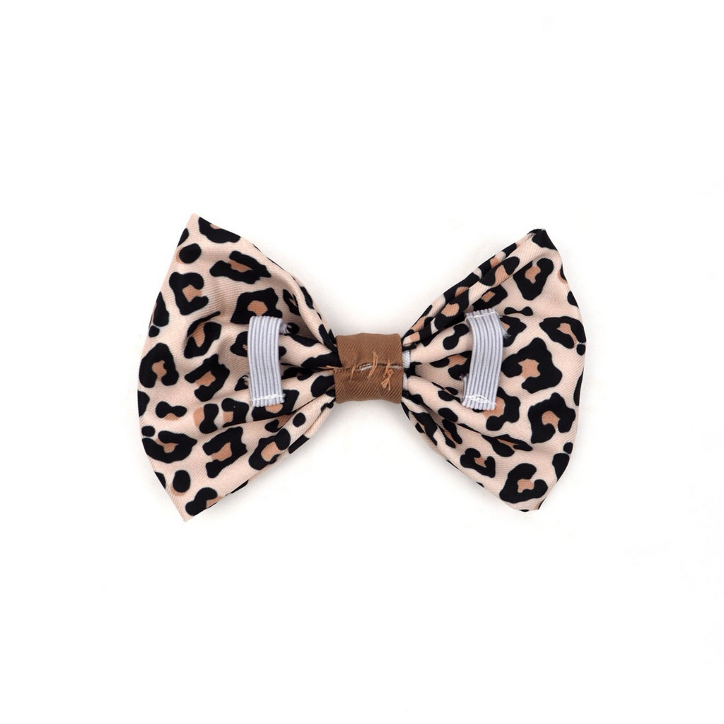 Wild One Bowtie