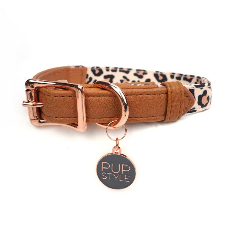 Wild One City Collar