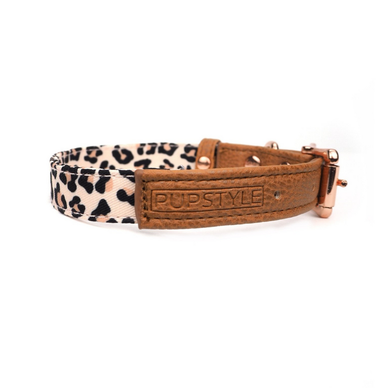 Wild One City Collar