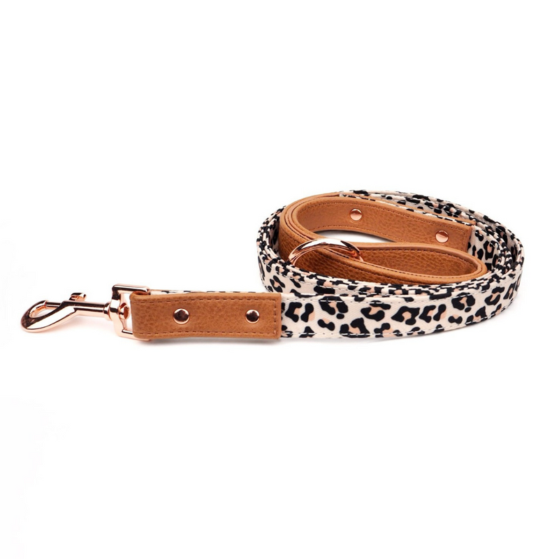 Wild One City Leash