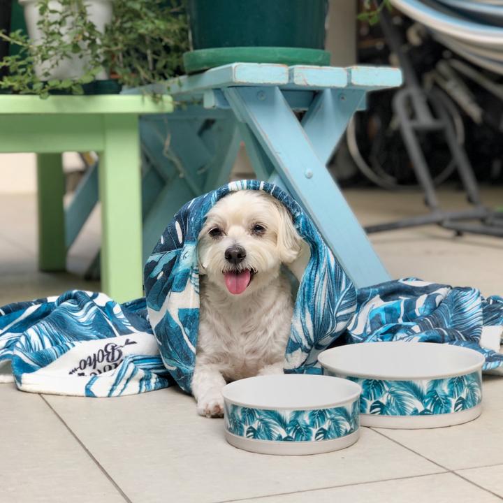 Tropical Leaves Ultra Soft Pet Blanket