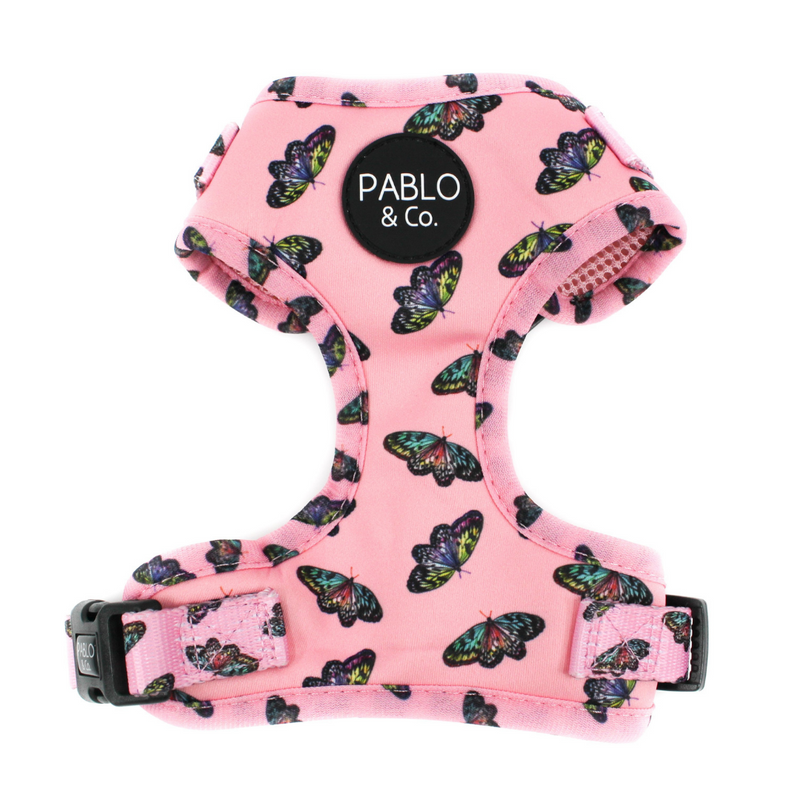 Butterflies Harness