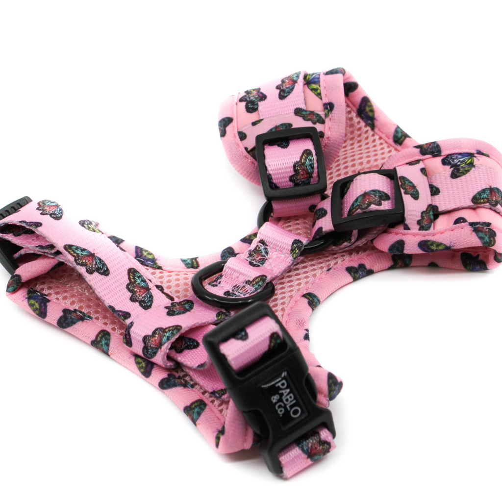 Butterflies Harness