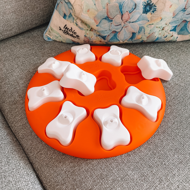 Dog Smart Puzzle Toy