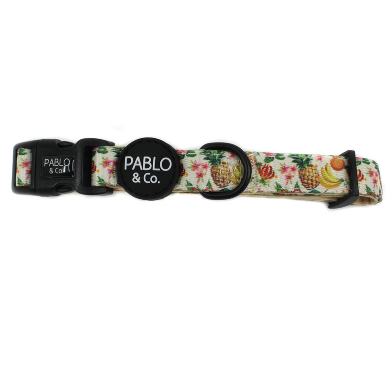 Fruity Collar