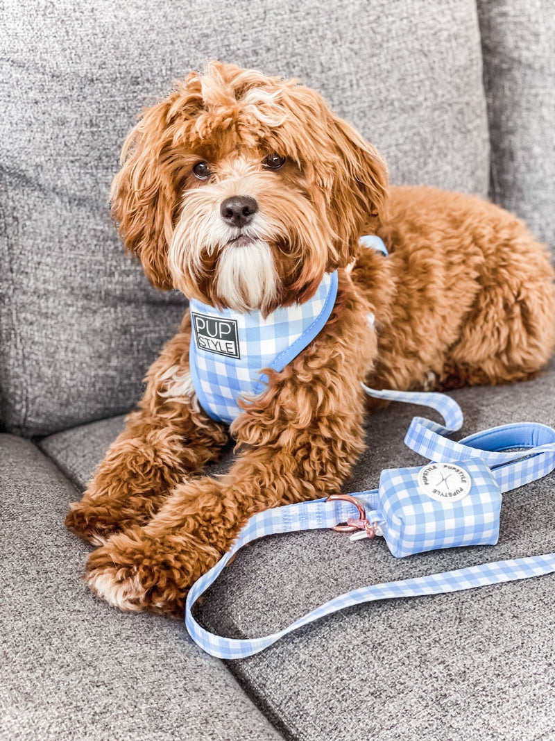 Blueberry Muffin Harness