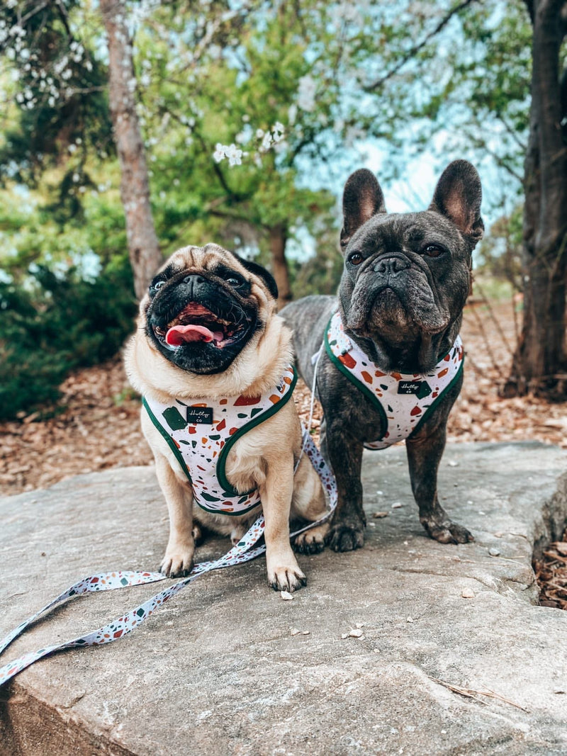 Earth Terrazzo Adjustable Harness