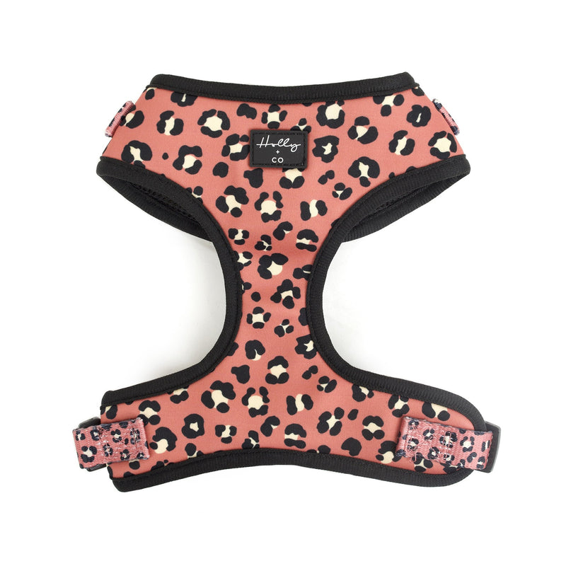 Wilder Adjustable Harness