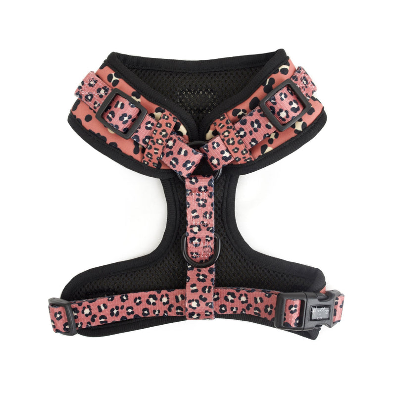 Wilder Adjustable Harness