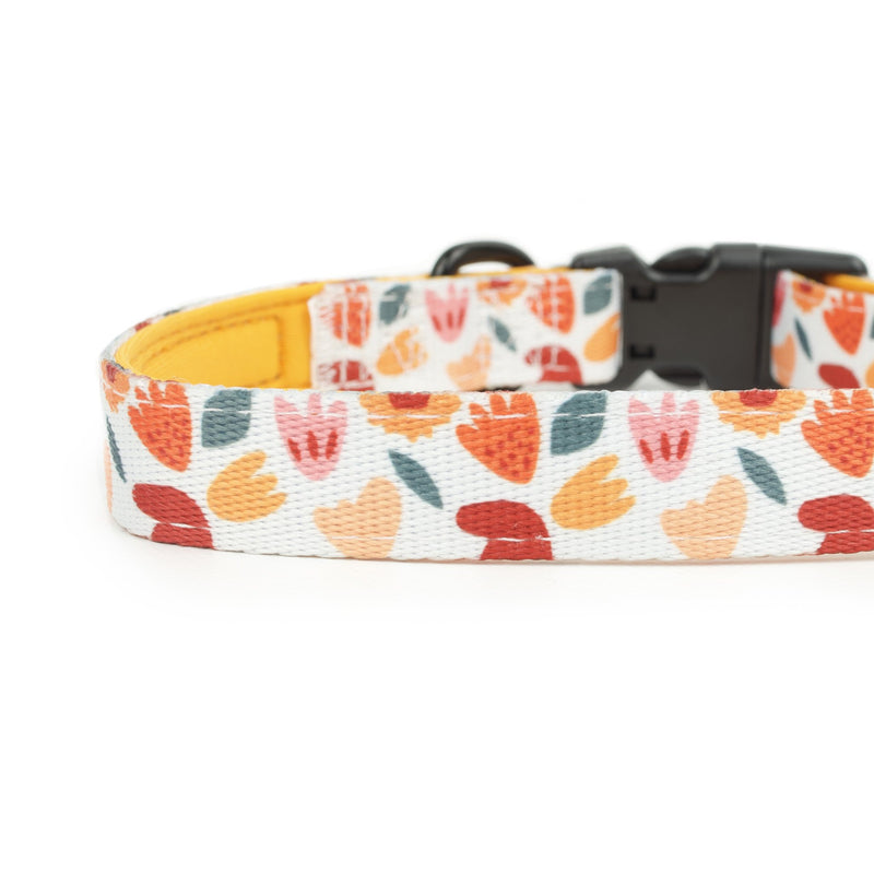 Floralicious Collar