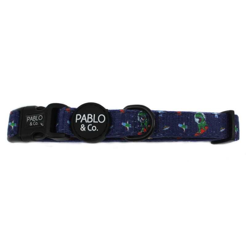 Space Dinos Collar