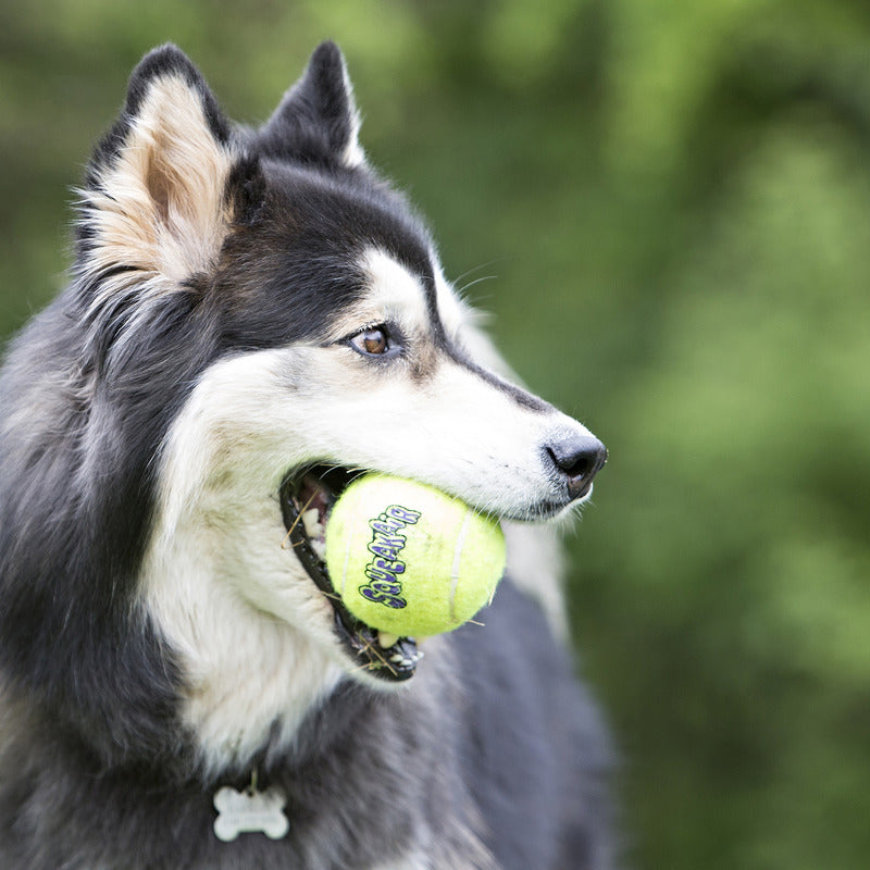 KONG SqueakAir Balls 3-pk Dog Toy