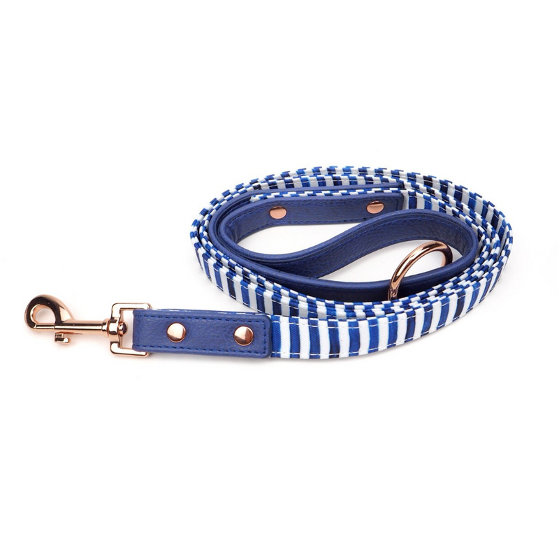 Stripe Squad City Leash