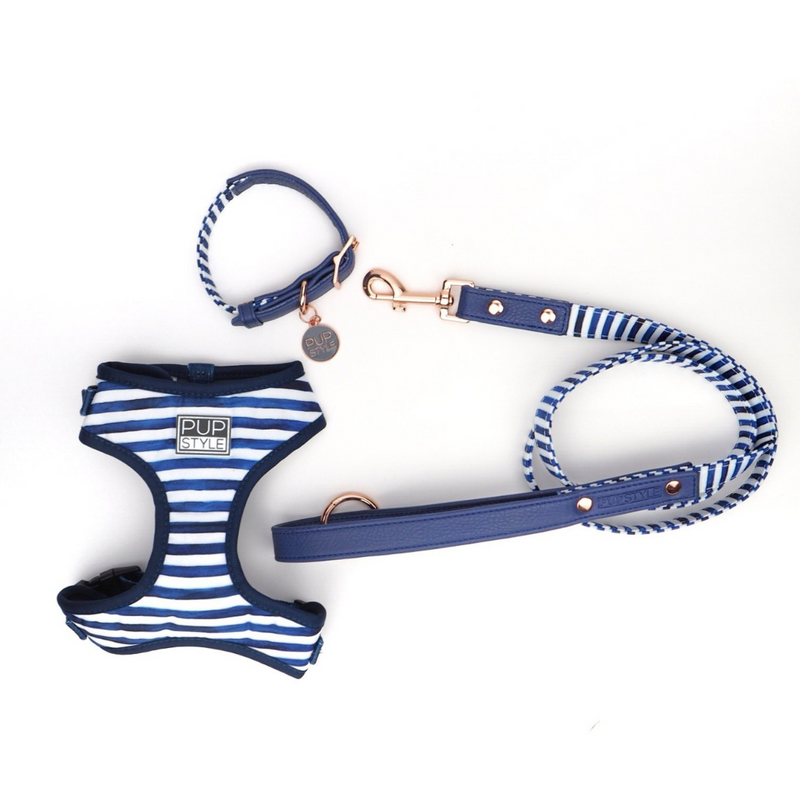 Stripe Squad City Leash