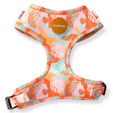 Golden Tales Totally Tropic Adjustable Harness