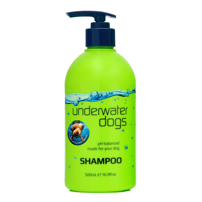 Shampoo 500ml