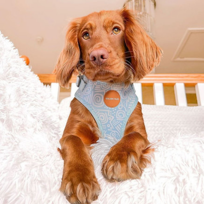 Santorini Swirl Adjustable Harness