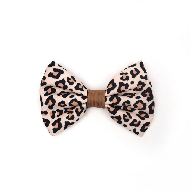 Wild One Bowtie